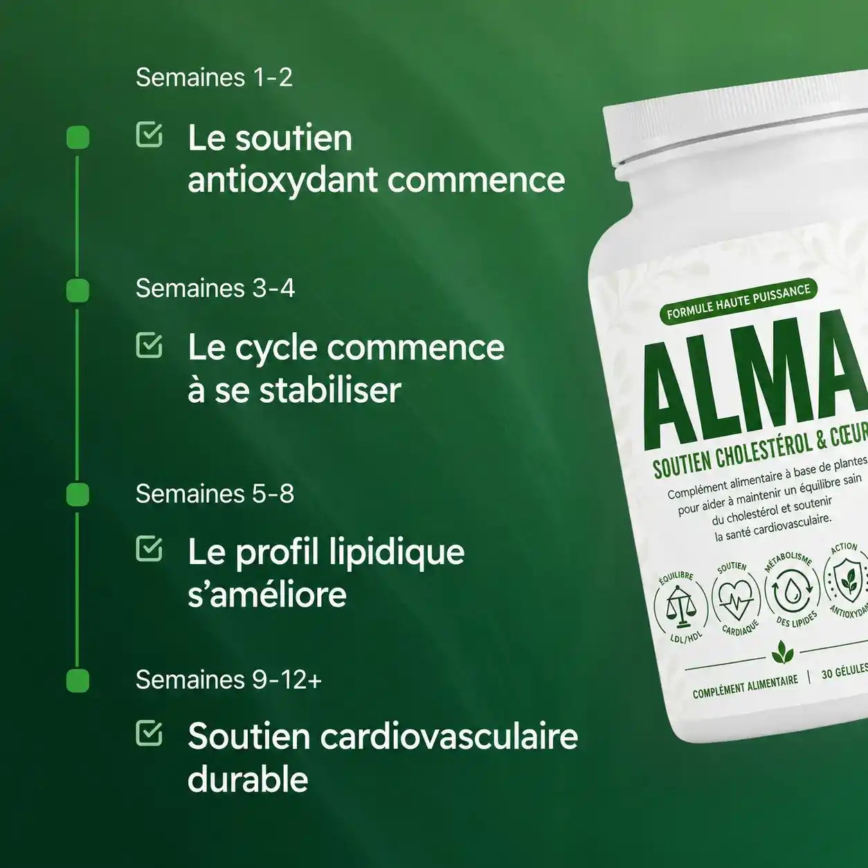 ALMA — Équilibre Cholestérol & Cœur