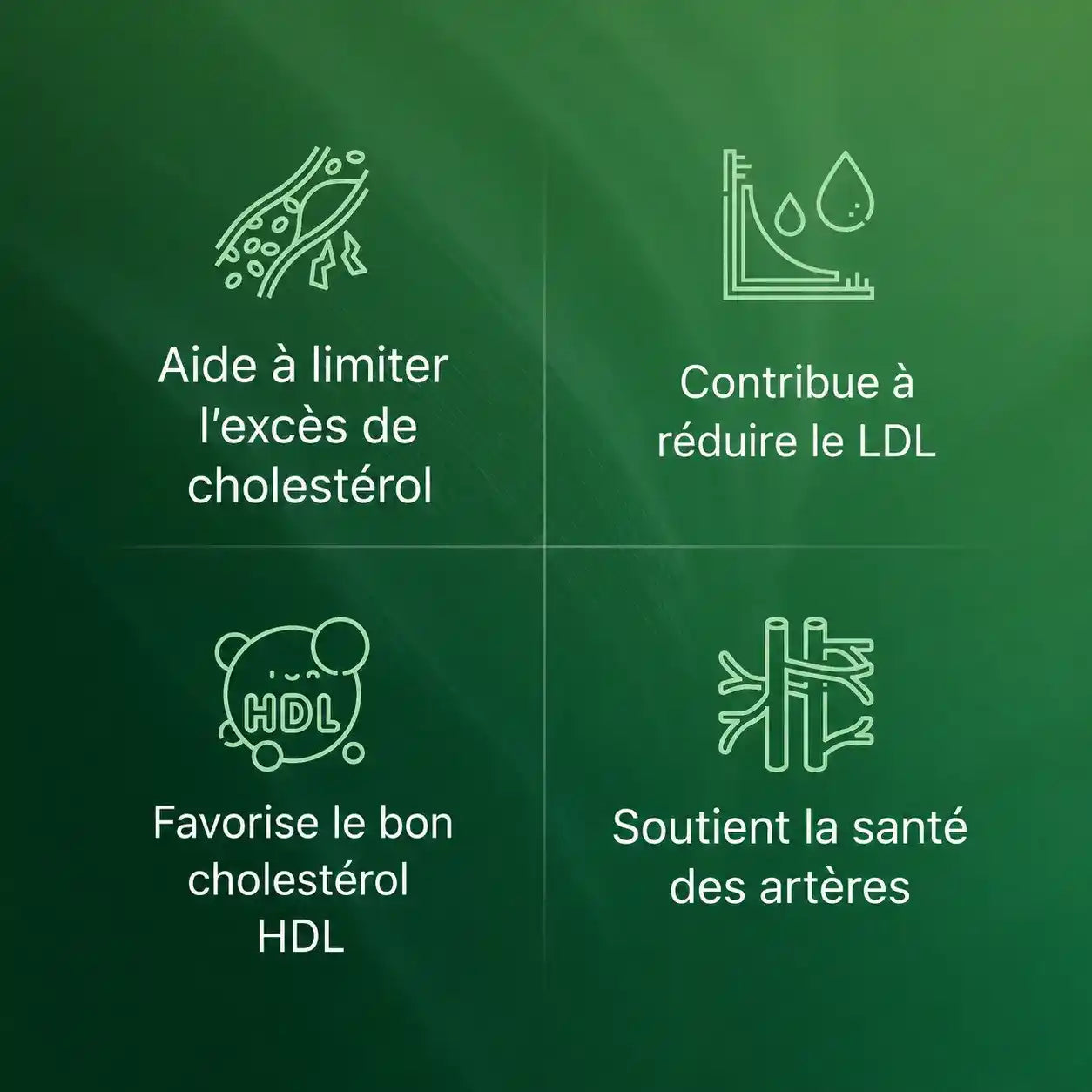 ALMA — Équilibre Cholestérol & Cœur