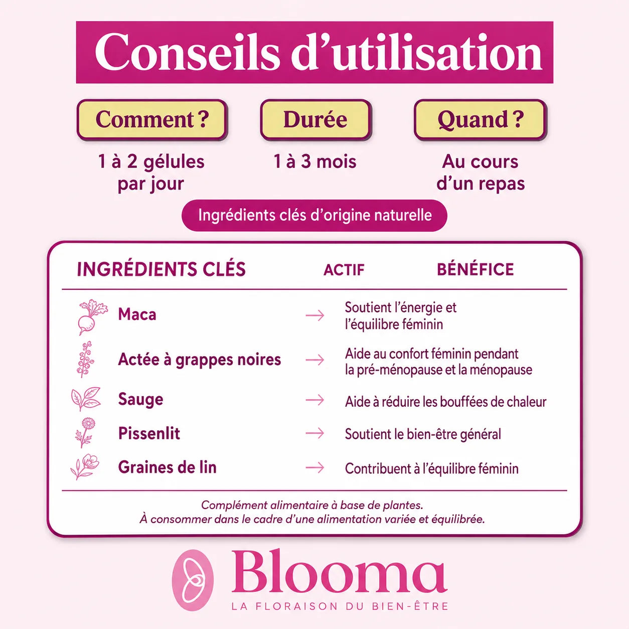 Équilibre Estrogène