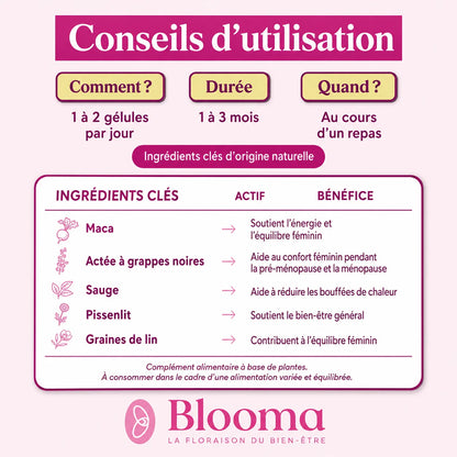 Équilibre Estrogène