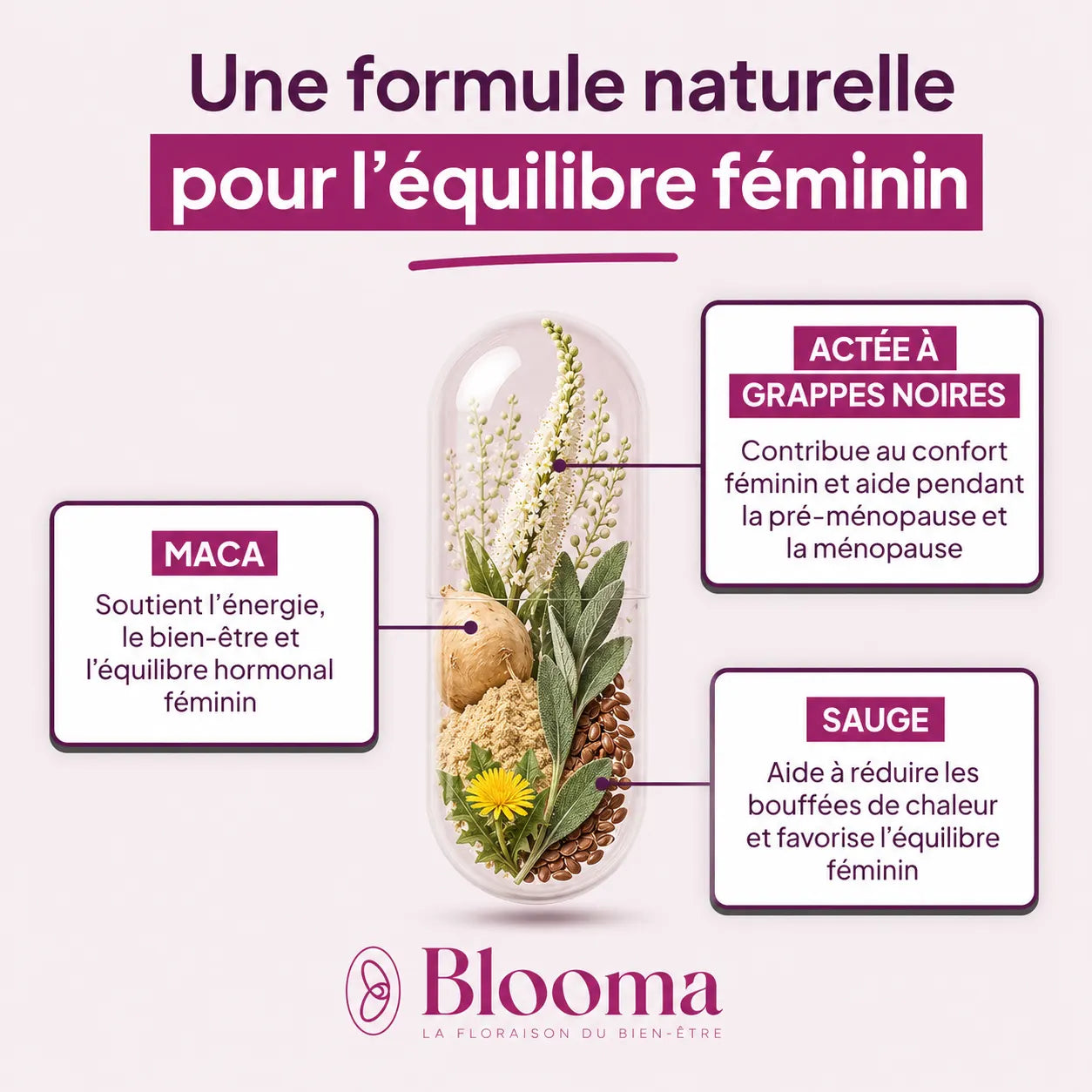 Équilibre Estrogène