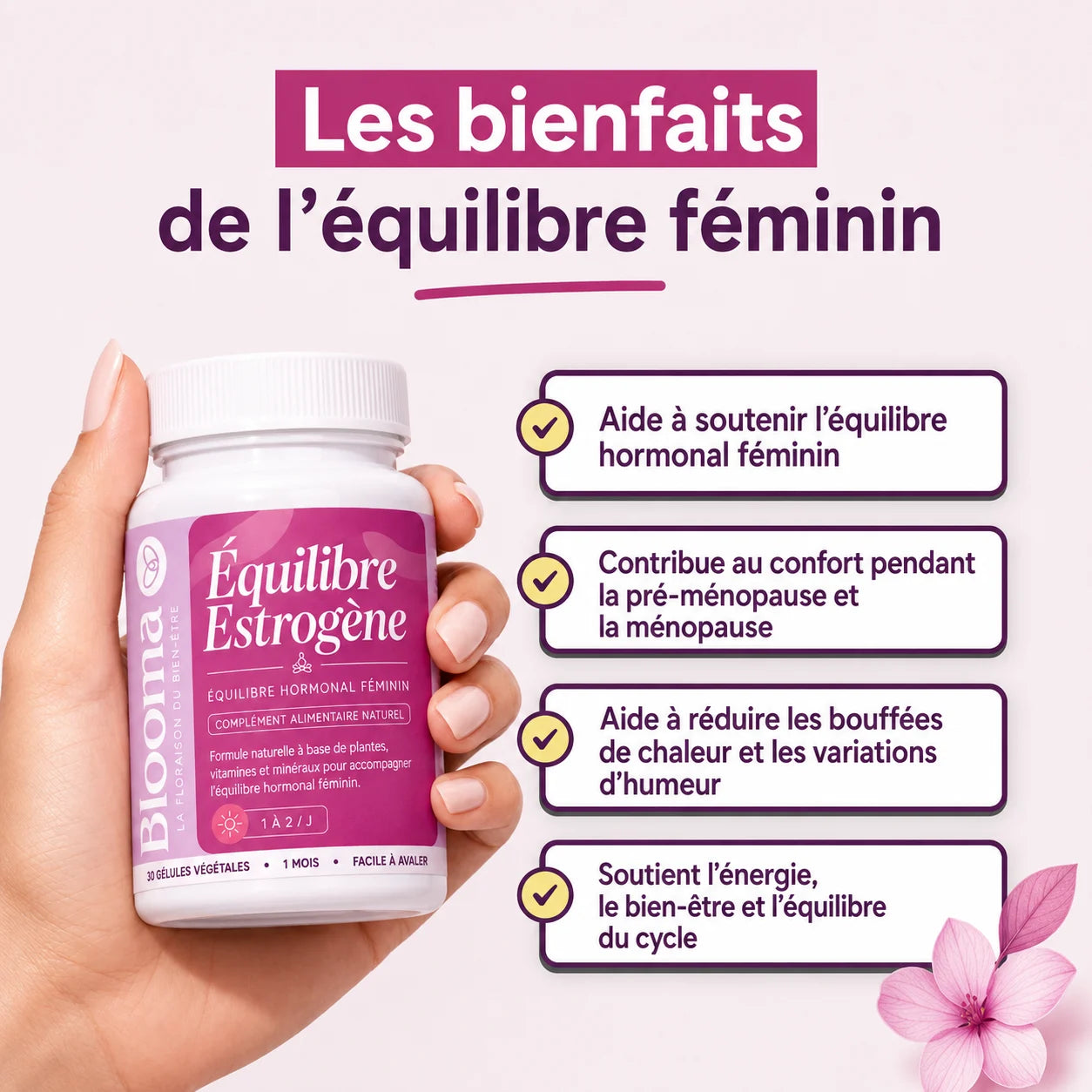 Équilibre Estrogène